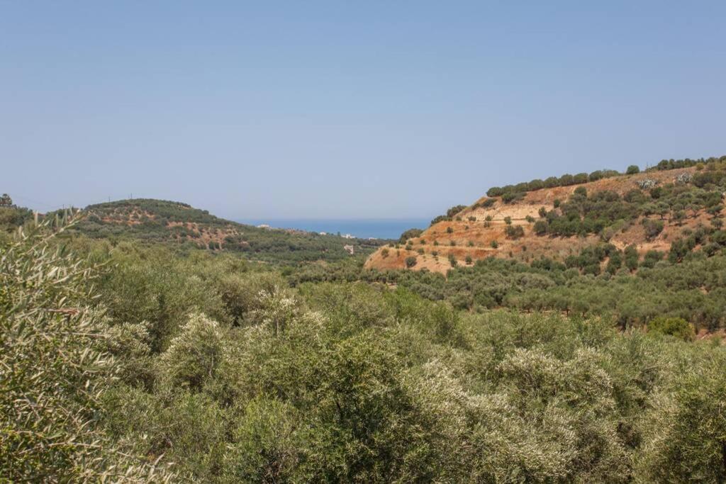 Villa Manolis Chania  Zewnętrze zdjęcie
