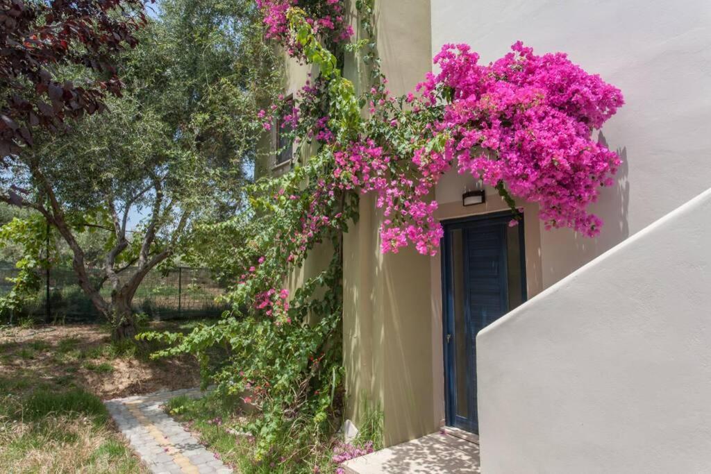 Villa Manolis Chania  Zewnętrze zdjęcie